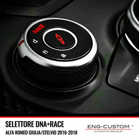ENG-Custom automotive products and installations - DNA SELECTOR + Race OEM replacement